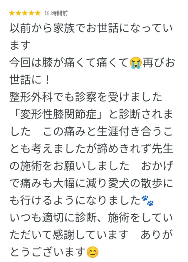 アンケート用紙